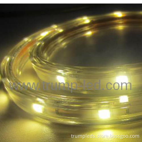 Factory Wholesale AC220V IP66 High Voltage Led Strip Light